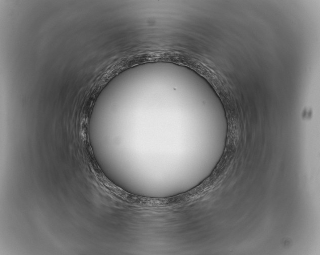 X0000091930770200709051240