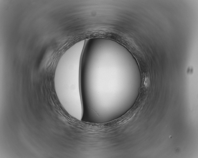 X0000091930771200709051240