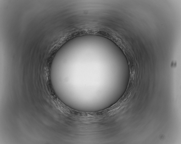 X0000091930772200709051240