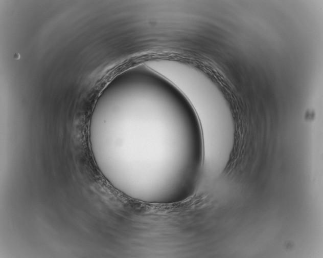 X0000091930773200709051240