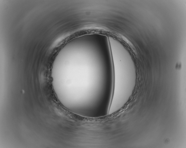 X0000091930775200709051240