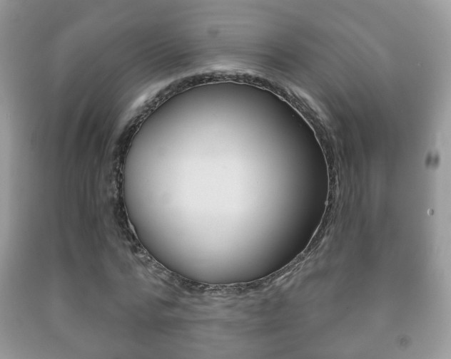 X0000091930776200709051240