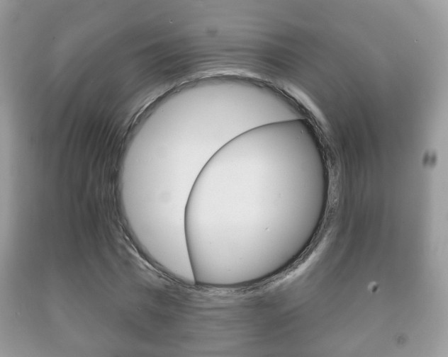 X0000091930777200709051240