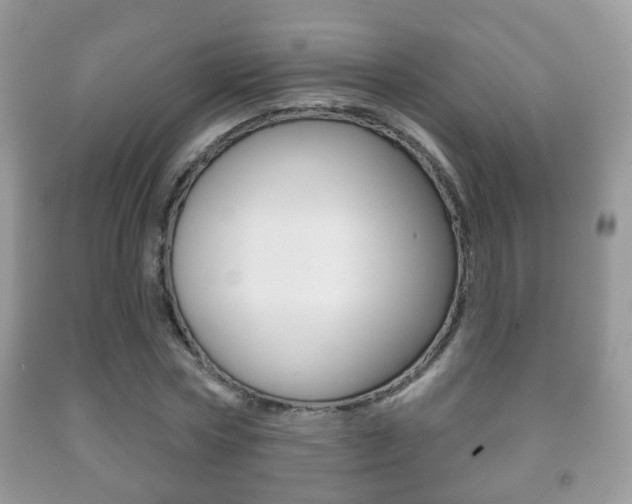 X0000091930778200709051240