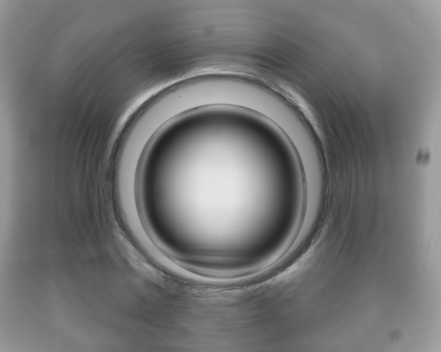 X0000091930779200709051240