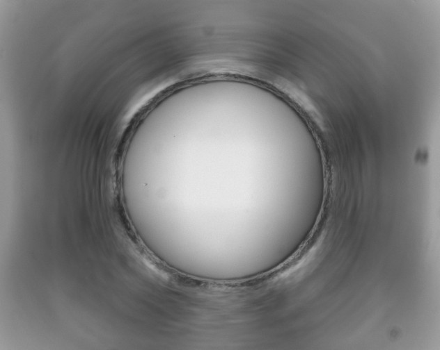 X0000091930782200709051240