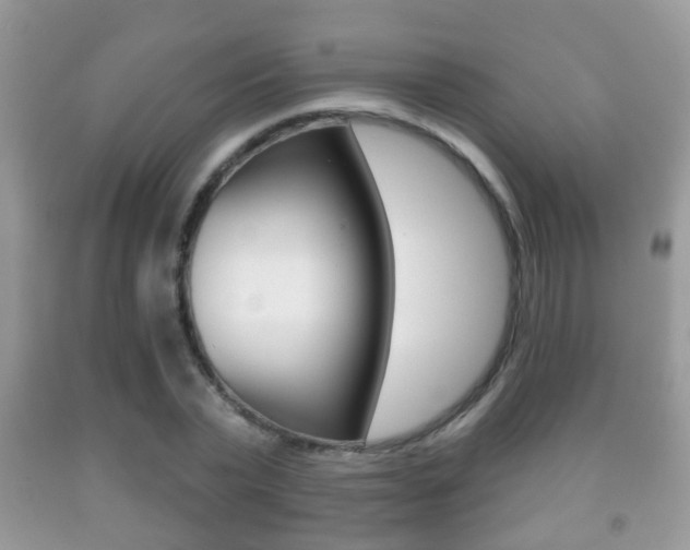 X0000091930783200709051240
