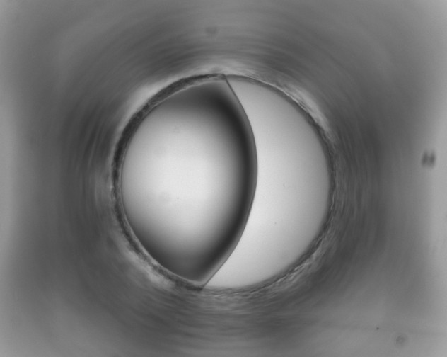 X0000091930784200709051240