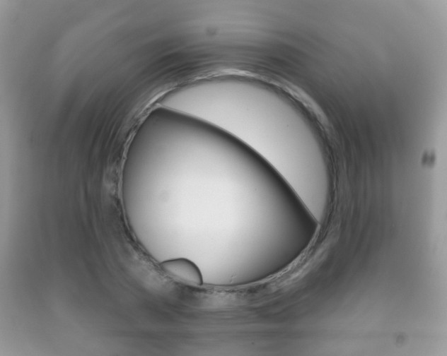X0000091930785200709051240