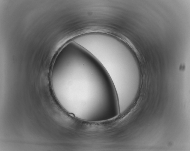 X0000091930786200709051240