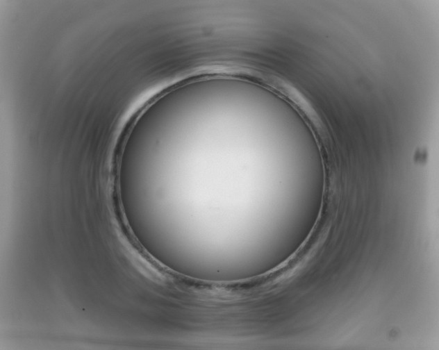 X0000091930787200709051240