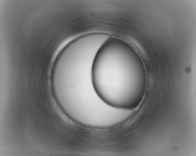 X0000091930788200709051240