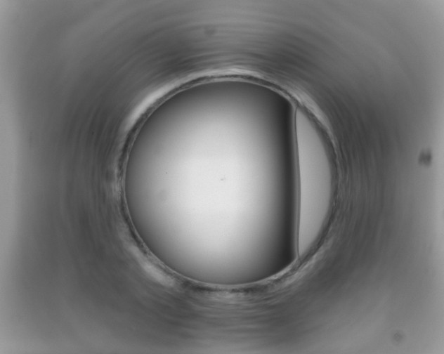 X0000091930789200709051240
