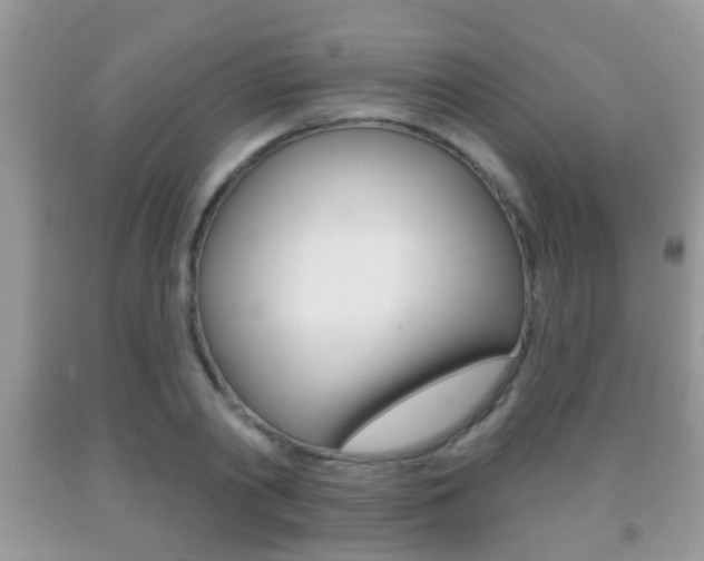 X0000091930790200709051240