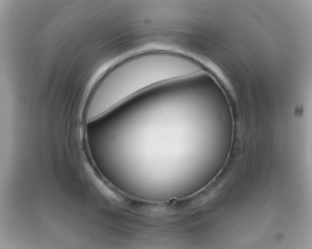 X0000091930791200709051240