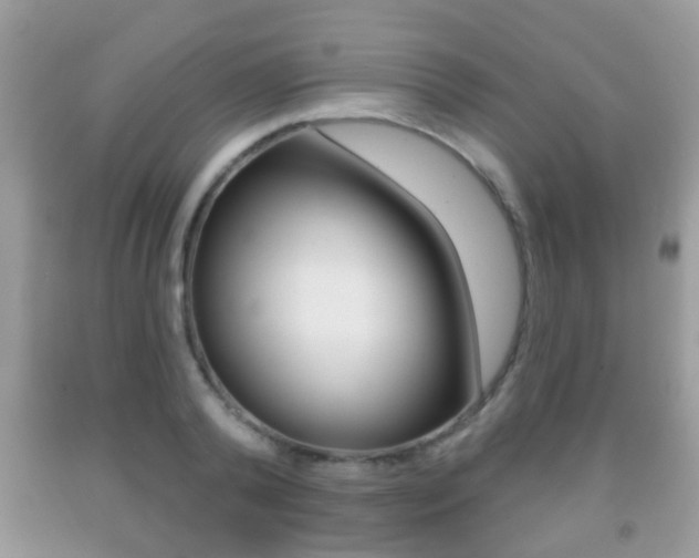 X0000091930792200709051240
