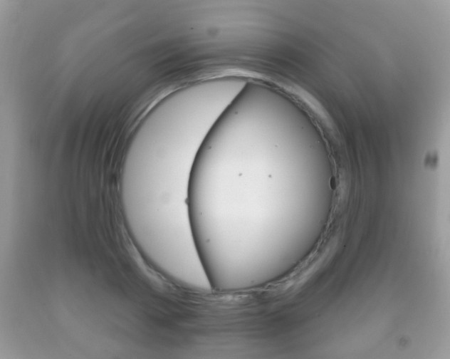 X0000091930793200709051240