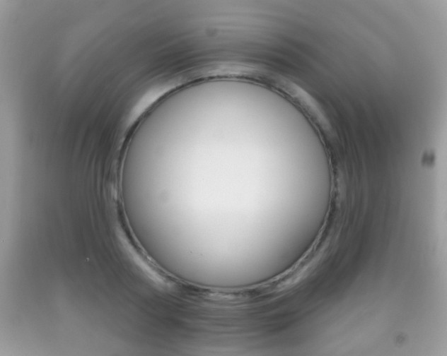 X0000091930794200709051240