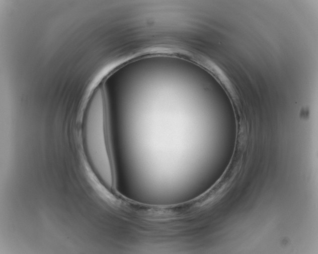X0000091930795200709051240