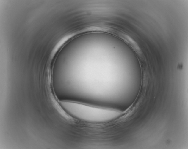 X0000091930796200709051240