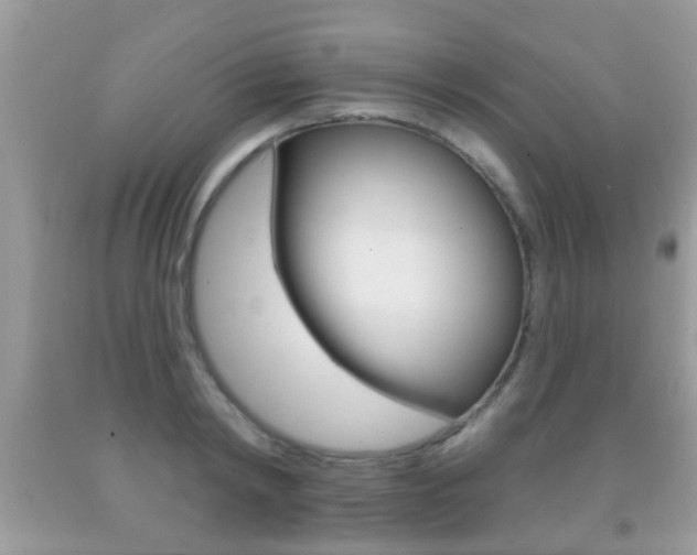 X0000091930798200709051240
