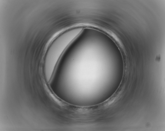 X0000091930799200709051240