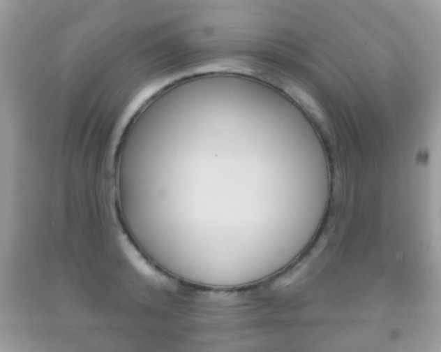 X0000091930800200709051240