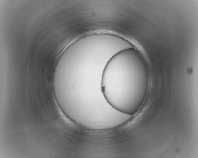 X0000091930801200709051240