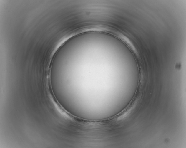 X0000091930802200709051240
