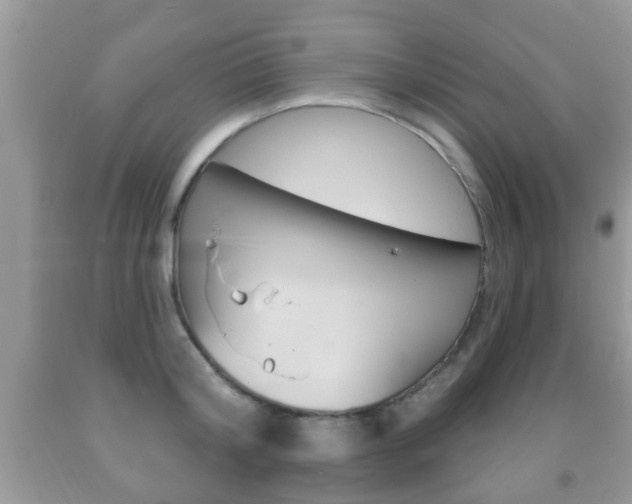 X0000091930804200709051240
