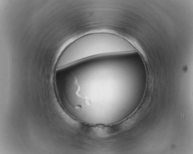 X0000091930805200709051240