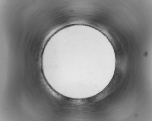 X0000091930807200709051240