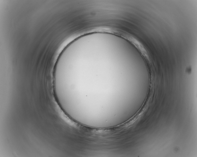 X0000091930808200709051240