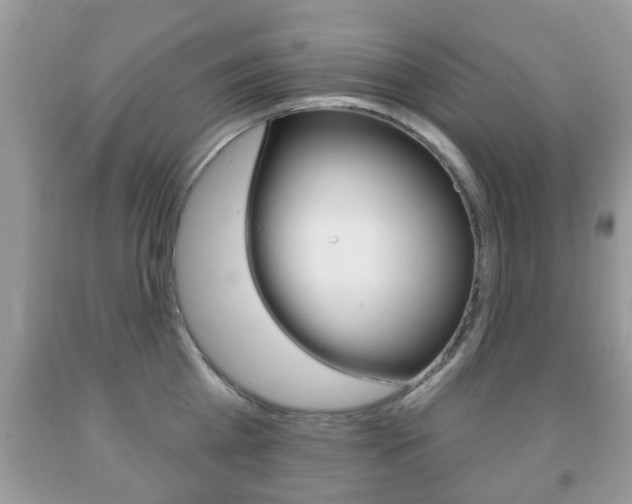 X0000091930809200709051240