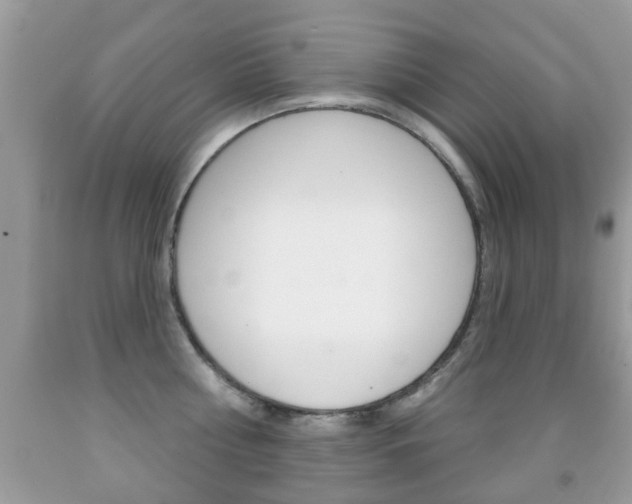 X0000091930810200709051240