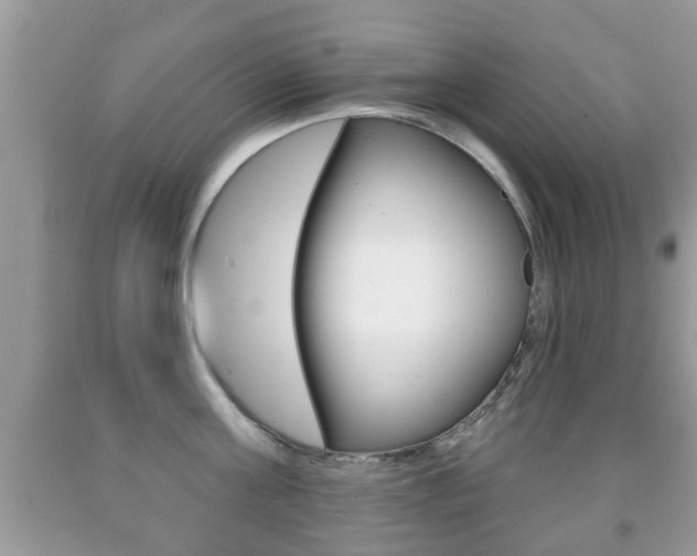 X0000091930811200709051240