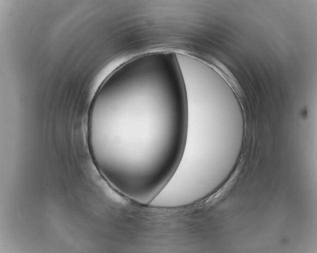 X0000091930812200709051240