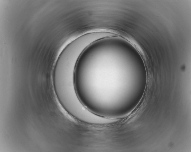 X0000091930813200709051240