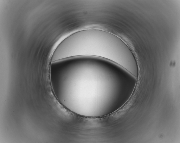 X0000091930816200709051240