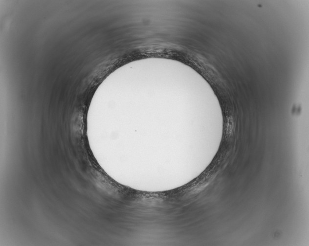 X0000091930820200709051239