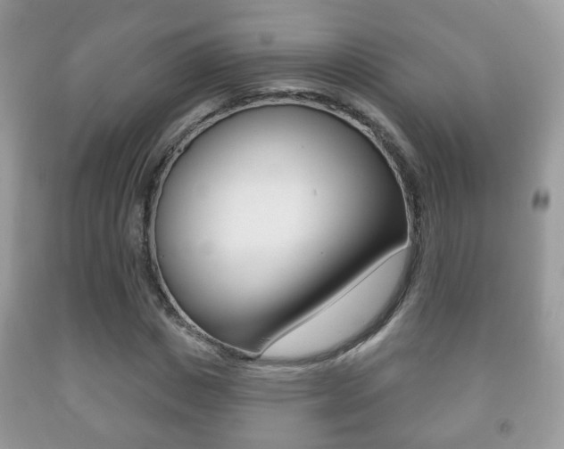 X0000091930825200709051239