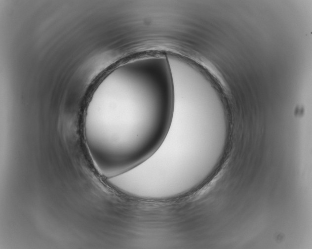 X0000091930826200709051239