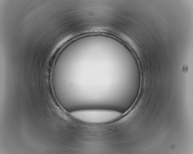 X0000091930827200709051239
