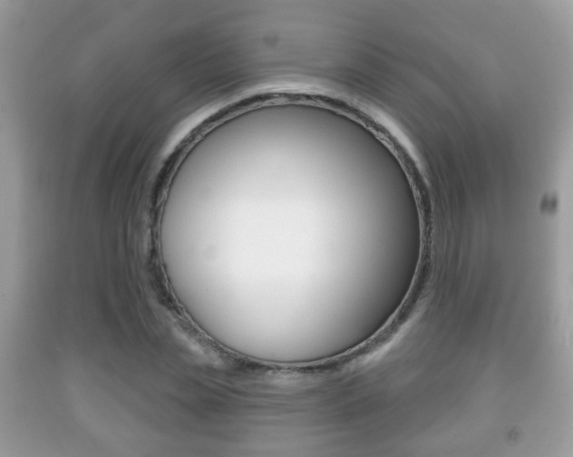 X0000091930829200709051239
