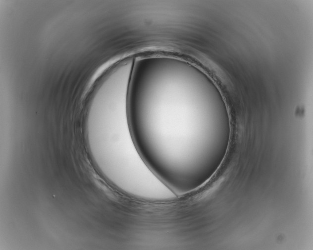 X0000091930830200709051239