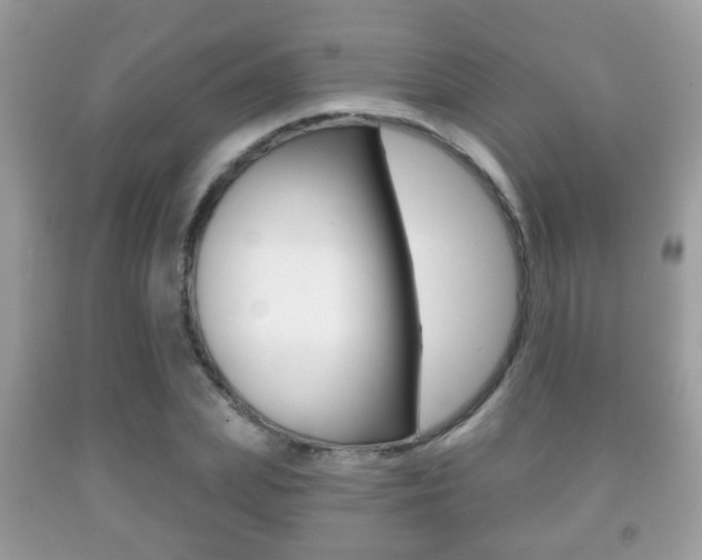 X0000091930831200709051239