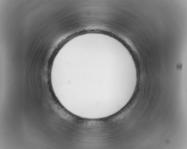 X0000091930832200709051239