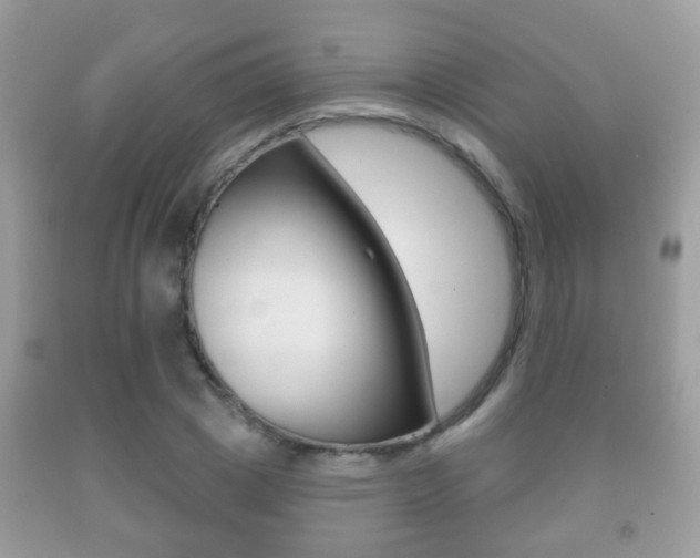 X0000091930833200709051239