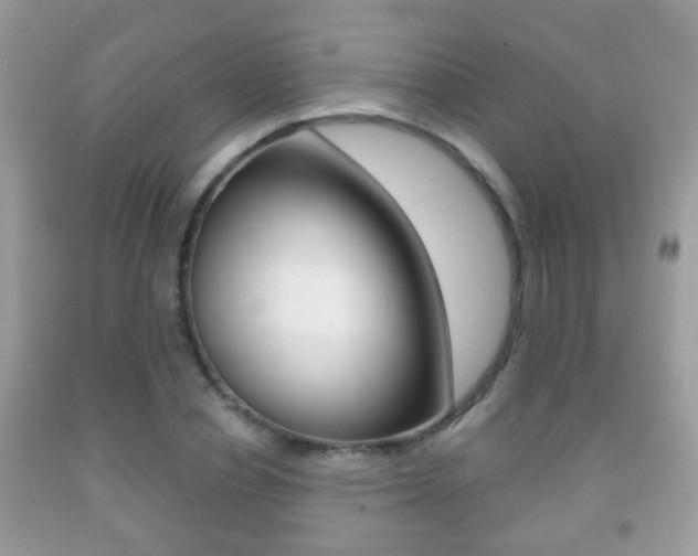 X0000091930834200709051239