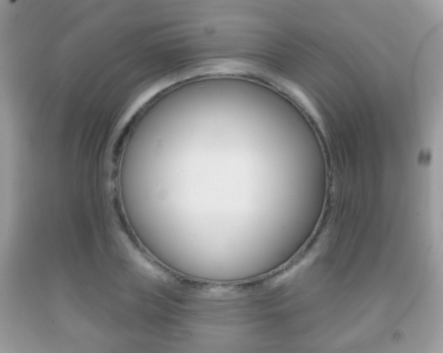 X0000091930835200709051239